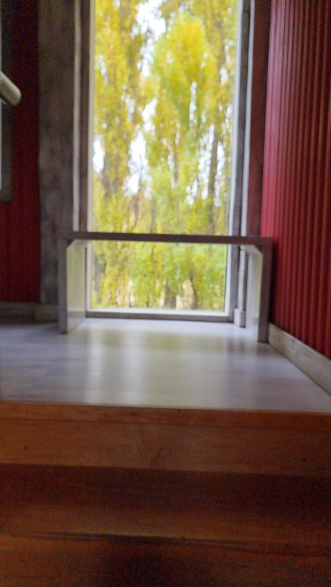 Chapa Pituca Boutique Apartment San Martin de los Andes Bagian luar foto